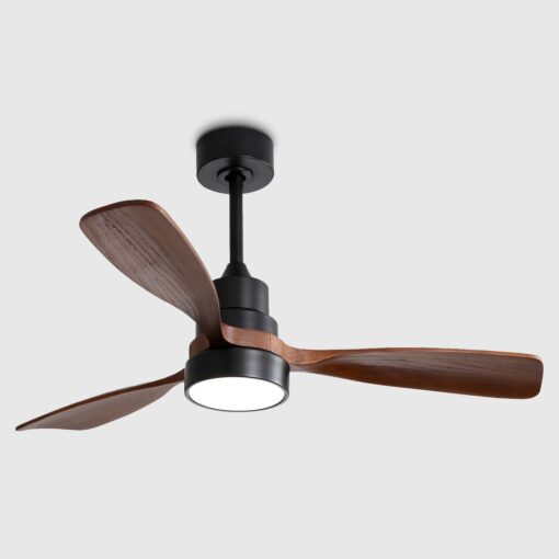 import placeholder for 25513
