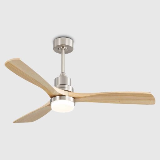 import placeholder for 25521